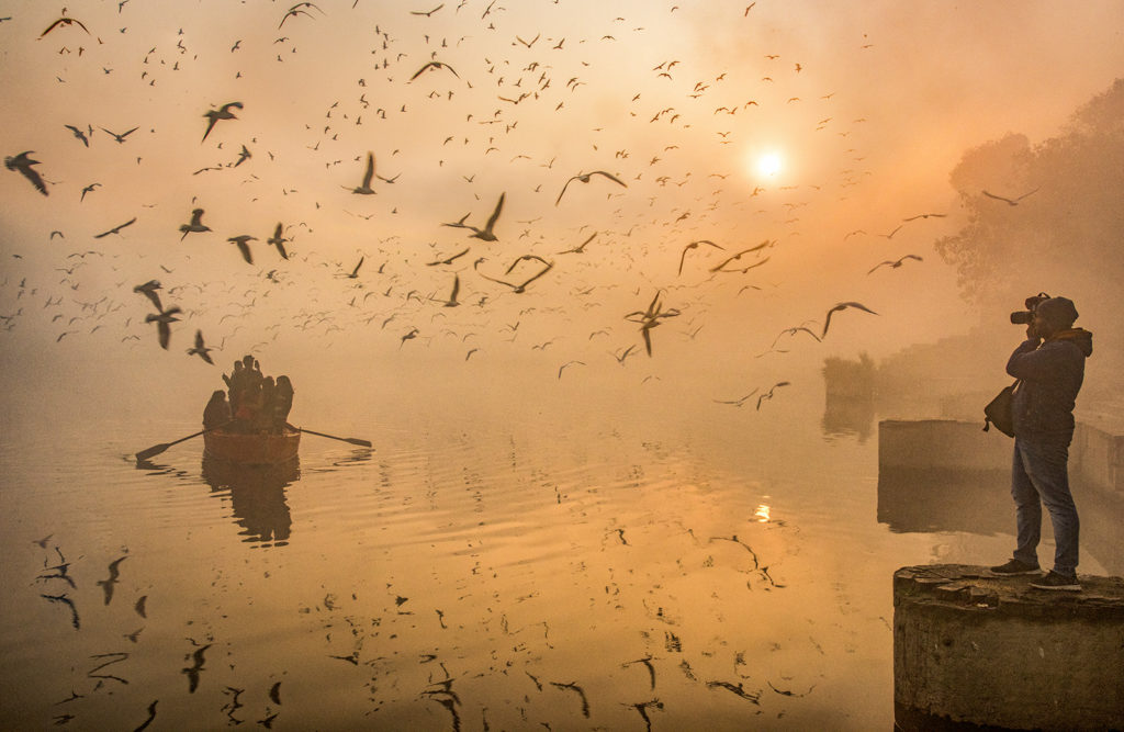 Sea Gulls at Yamuna Ghat Delhi, India.